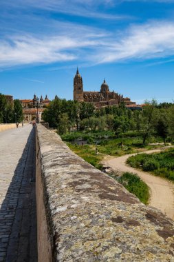 Salamanca eski köprüden görüldüğü gibi