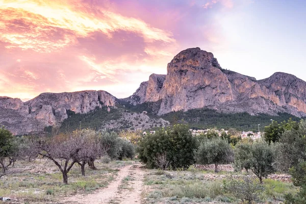 Сельский Пейзаж Интерьере Costa Blanca Аликанте Испания — стоковое фото