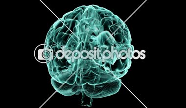 İnsan beyni X-Ray Render