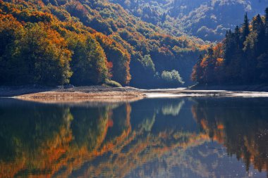 Karadağ 'daki Biogradsko gölüne yansıyan sonbahar ormanı
