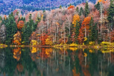 Karadağ 'daki Biogradsko gölüne yansıyan sonbahar ormanı