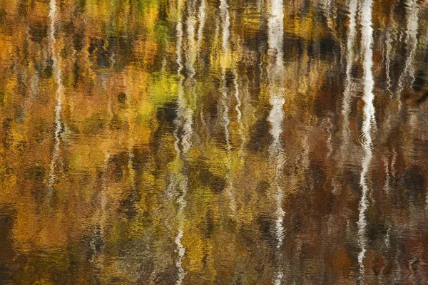 Réflexions Abstraites Des Forêts Automne Sur Surface Agitée Lac — Photo