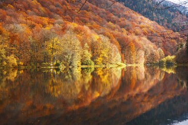 Karadağ 'daki Biogradsko gölüne yansıyan sonbahar ormanı