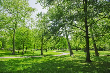 İlkbaharda parkta yürüyüş yolu ve orman