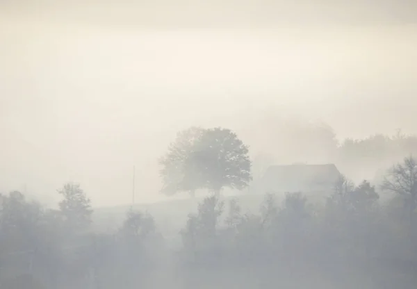 Shadow and silhouette of a tree and houses in a dense morning mist on the mountain