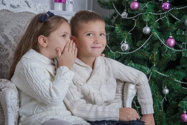 Meisje Fluisterde Aan Haar Broer Wat Vragen Voor Kerstman — Stockfoto