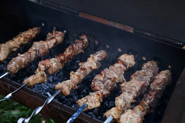 Brazier Slices Pork Meat Fire Outdoor — Stock Photo, Image