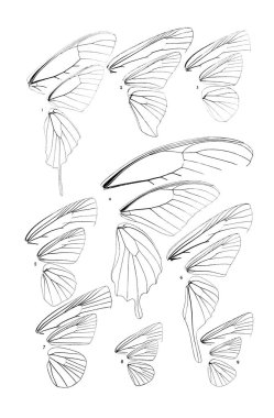 Böcekler Illustration. Eski resim