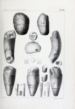 Fosiller Illustration. Eski resim