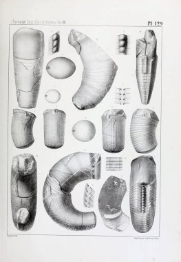 Fosiller Illustration. Eski resim