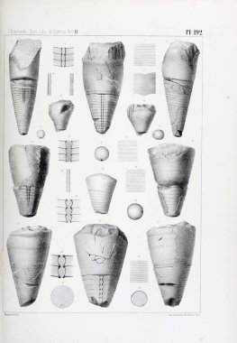 Fosiller Illustration. Eski resim