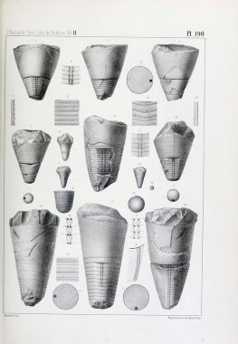 Fosiller Illustration. Eski resim