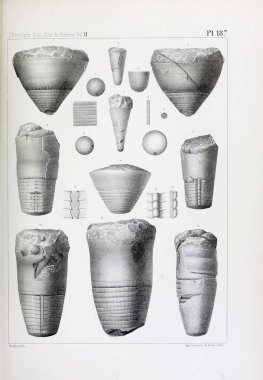 Fosiller Illustration. Eski resim