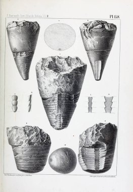 Fosiller Illustration. Eski resim