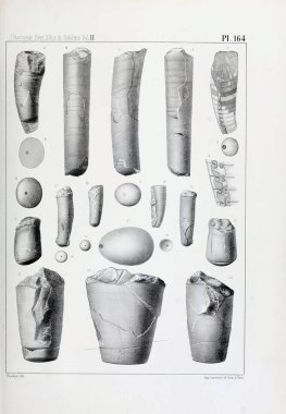 Fosiller Illustration. Eski resim