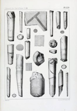 Fosiller Illustration. Eski resim
