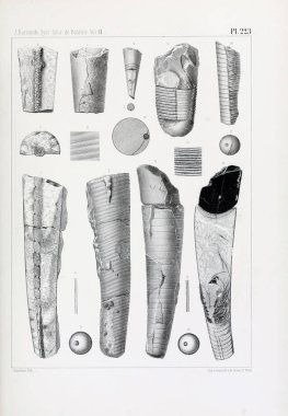 Fosiller Illustration. Eski resim