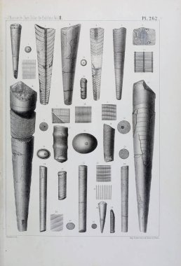 Fosiller Illustration. Eski resim