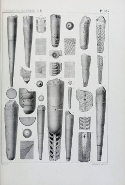 Fosiller Illustration. Eski resim
