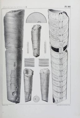 Fosiller Illustration. Eski resim
