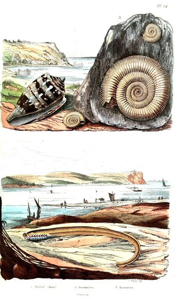 Starověké Ilustrace Encyklopedie — Stock fotografie