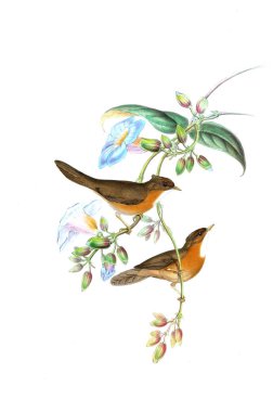 Hayvanlar eski resim çizimi