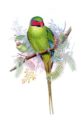 Hayvanlar eski resim çizimi