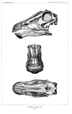 Dinozor Illustration. Eski resim