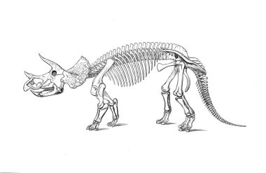 Dinozor Illustration. Eski resim