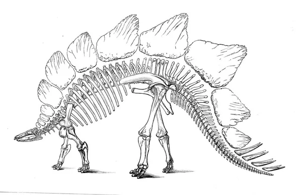 Ilustração Dinossauro Imagem Antiga — Fotografia de Stock