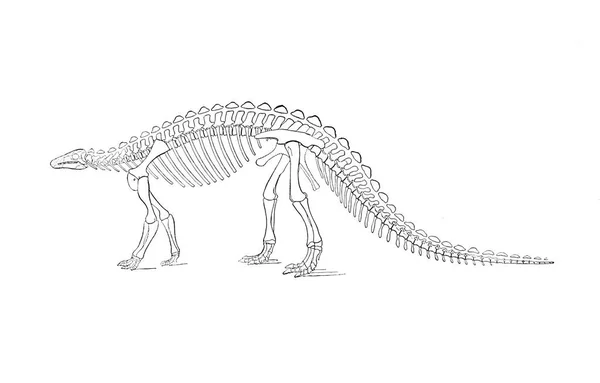 Dinozor Illustration Eski Resim — Stok fotoğraf