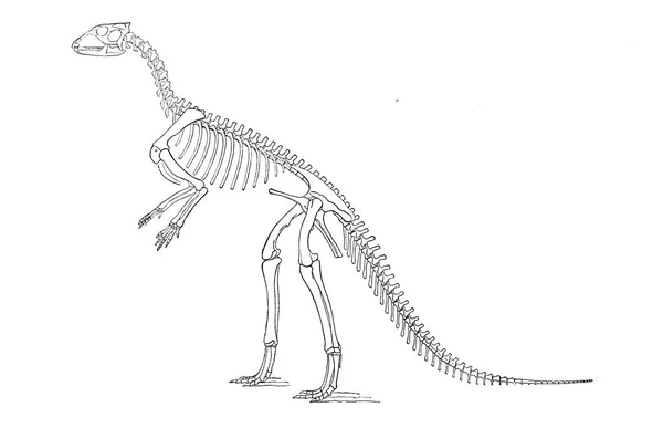 Dinozor Illustration Eski Resim — Stok fotoğraf