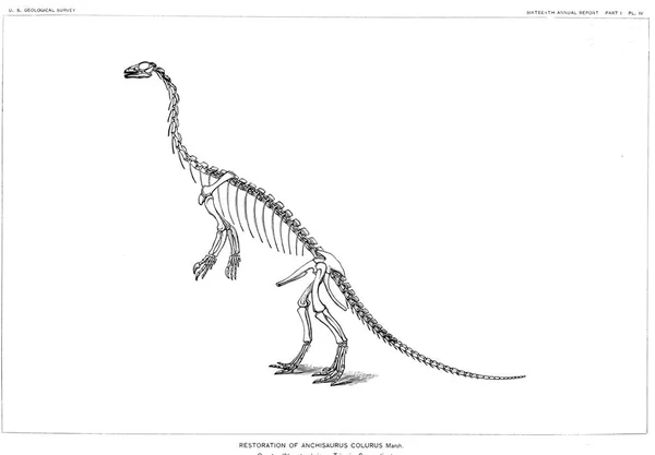 Ilustração Dinossauro Imagem Antiga — Fotografia de Stock