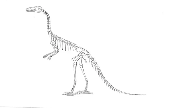 Ilustração Dinossauro Imagem Antiga — Fotografia de Stock