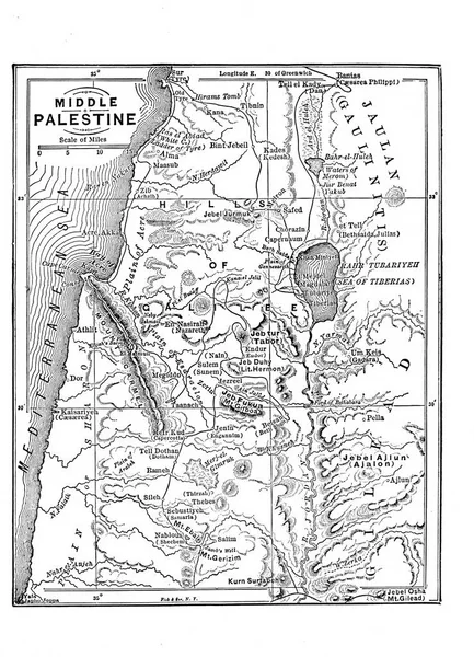 1,085 Palestine Stock Illustrations | Depositphotos