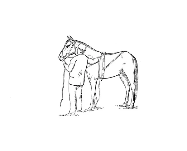 Άλογο Ρετρό Και Παλιά Εικόνα Που Απομονώνονται — Φωτογραφία Αρχείου