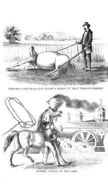 At illüstrasyon. Retro ve eski görüntü