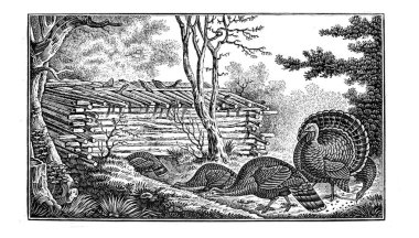 Avcılık retro ve eski görüntü. 