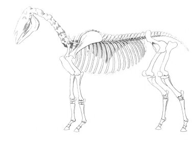 Avcılık retro ve eski görüntü.