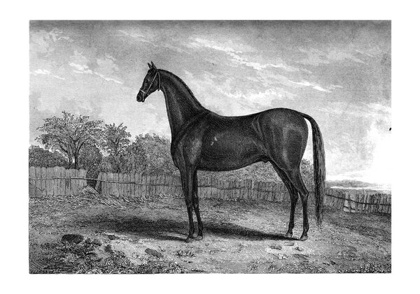 Охота ретро и старый образ
.