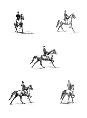 At retro ve eski görüntü.