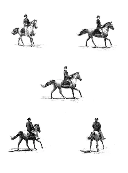 Koń Retro Stary Obraz — Zdjęcie stockowe