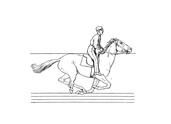 Paard Retro Oude Beeld — Stockfoto