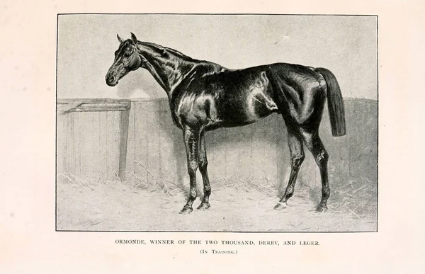 Obrázek Retro Staré Koně — Stock fotografie