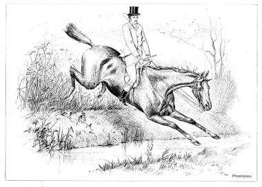 At retro ve eski görüntü.