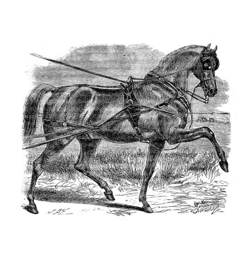 At retro ve eski görüntü.