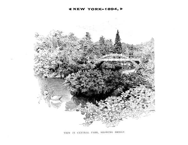 New York City Engraving Illustration — Stock Photo, Image