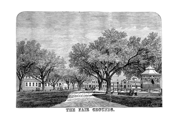 New Orleans. Engraving illustration