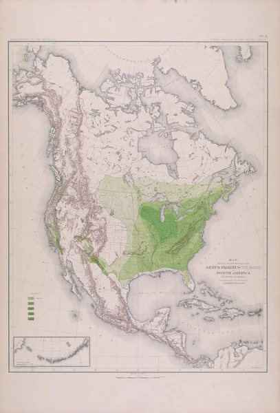 Forest map of America.