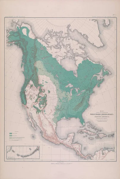 Forest map of America.